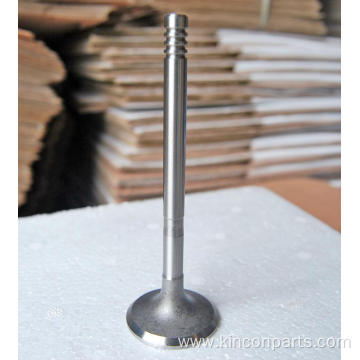 Engine Valves CA498